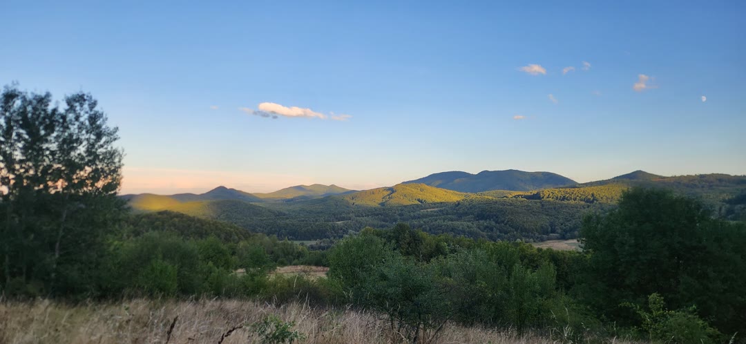 Carpathian ridges in evening light, meadows and forest in front