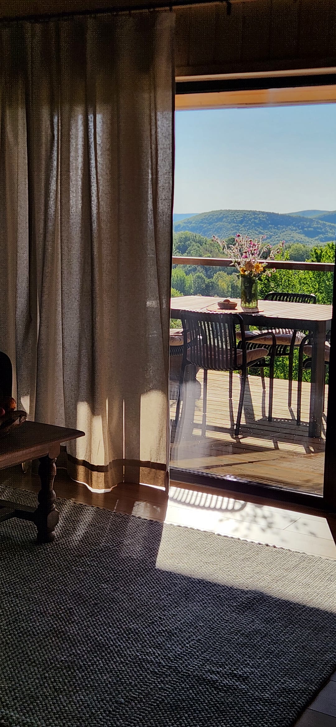 From the living room through the glass door to the terrace table and ridges